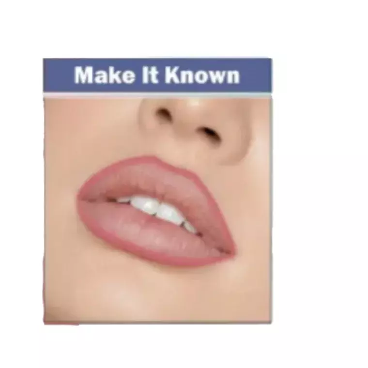 Everly Beauties Matte Me Up Lip Liner Pencil - Make It Know (1.5gm)