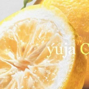 Skin Food Yuja C Dark Spot Clear Cream