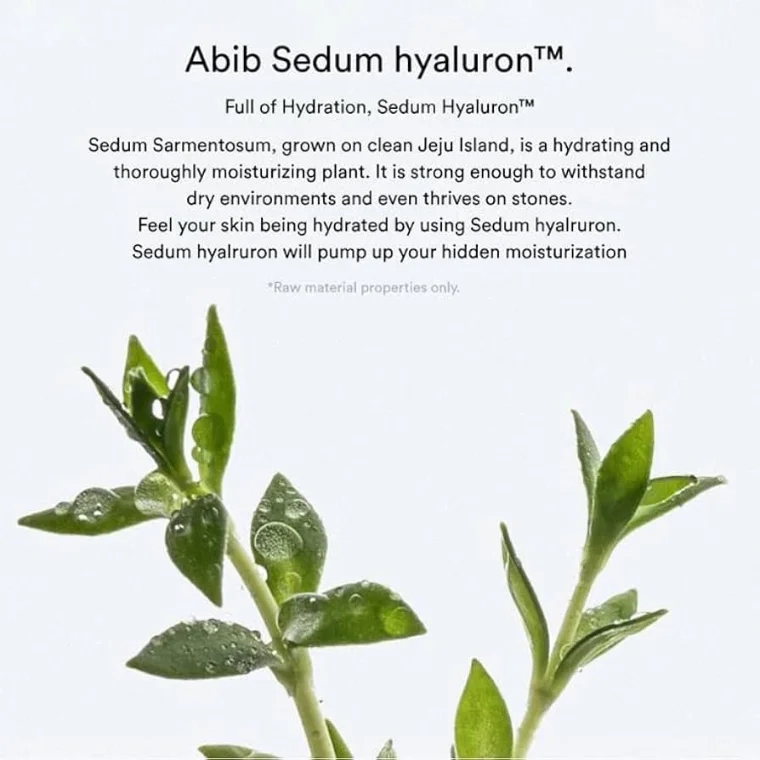 Abib Sedum Hyaluron Cream Hydrating Pot (80ml)