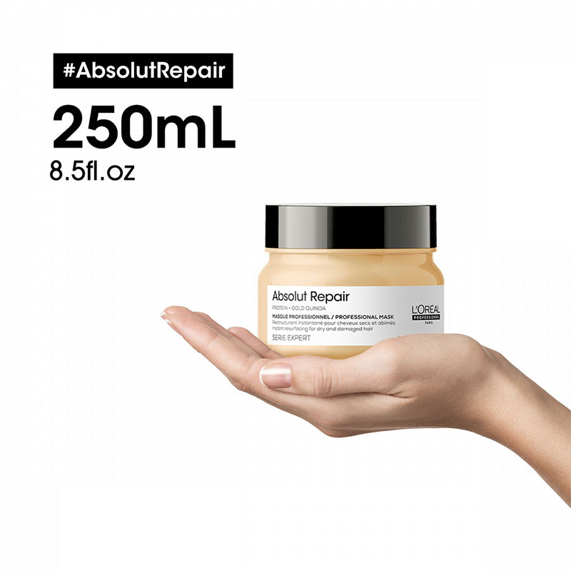 L'oreal Serie Expert Absolut Repair Masque (250gm)