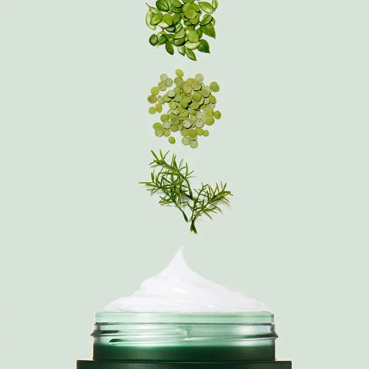 Laneige Sample Cica Sleeping Mask Soothe & Moisturize(10ml)