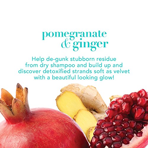 OGX Detoxifying + Pomegranate & Ginger Shampoo (385ml)